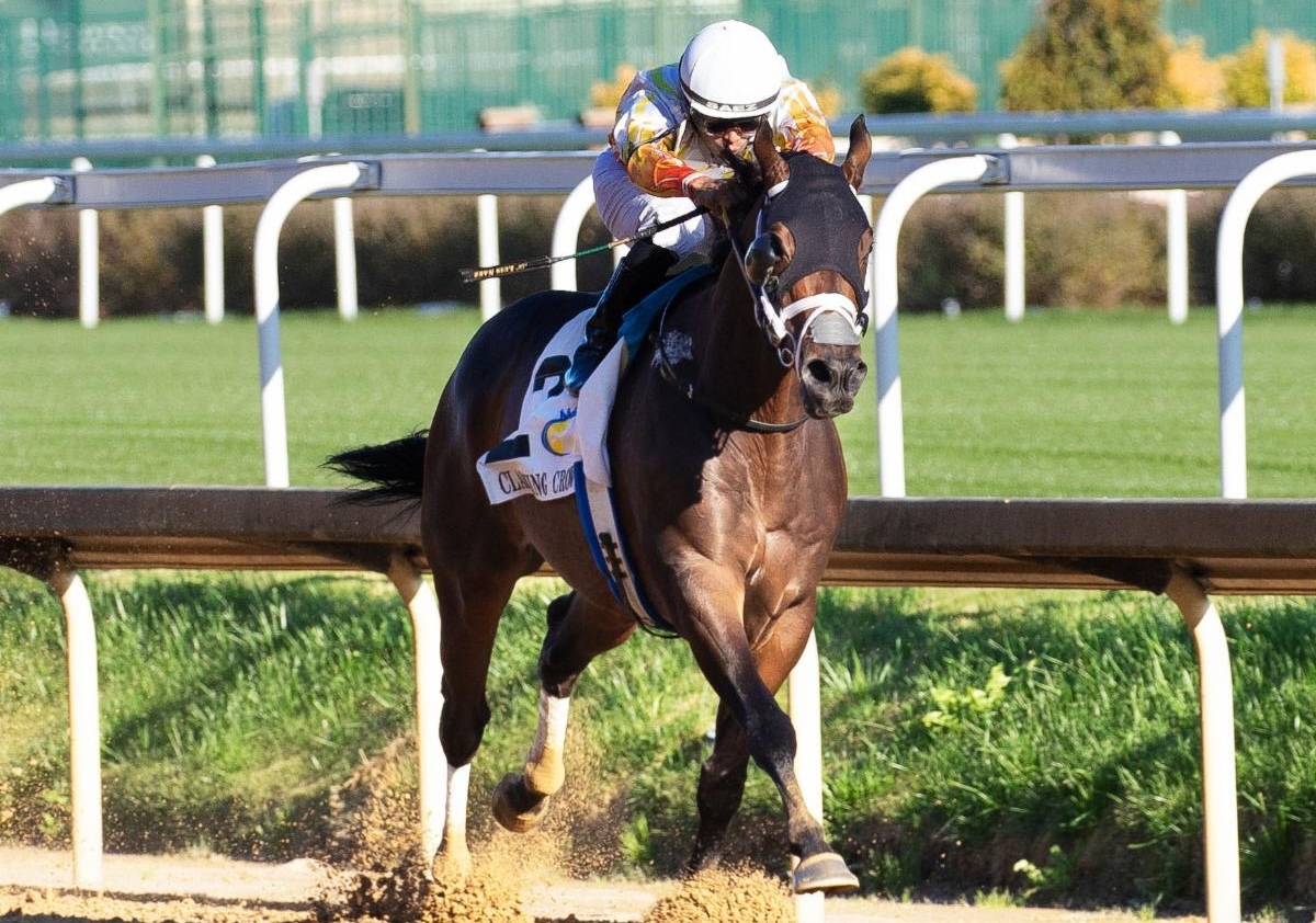 Concrete Glory returns to defend last year's victory in the Claiming Crown Ready's Rocket Express. Photo: Gwen Davis / Davis Innovation