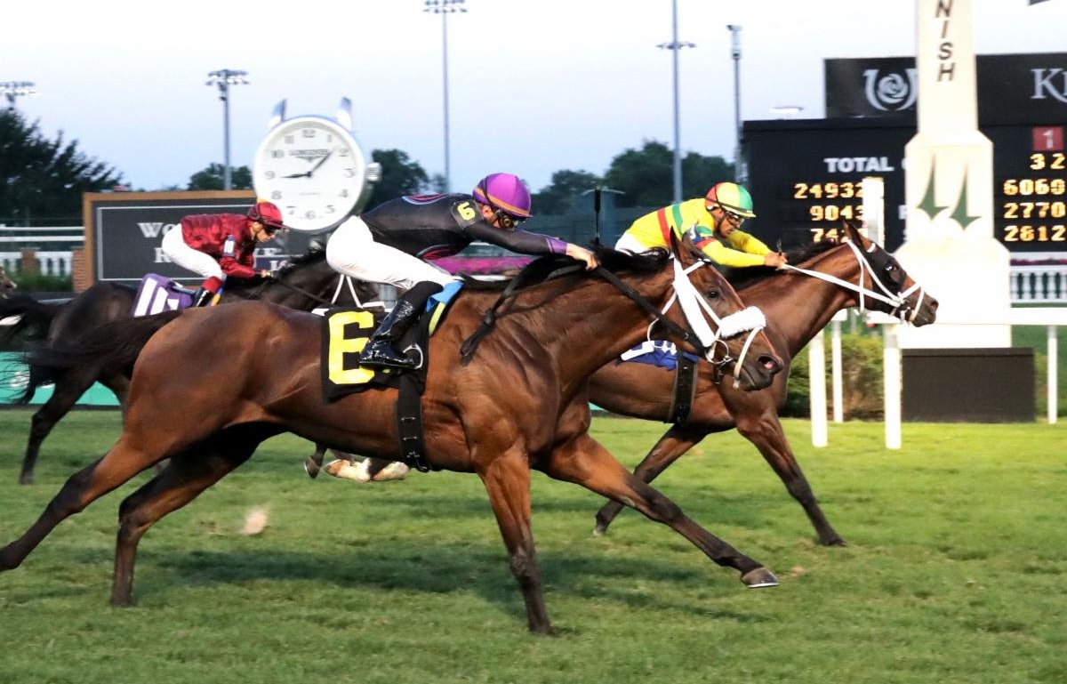 Echo Lane winning last year's Claiming Crown Emerald under Luis Saez. Photo: Coady Media