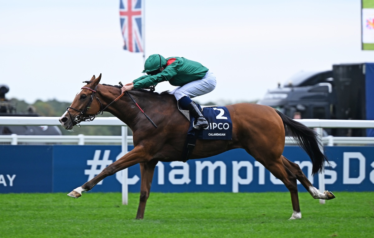 Japan bound: Calandagan wins Champion Stakes at Ascot. Photo: Francesca Altoft / focusonracing.com
