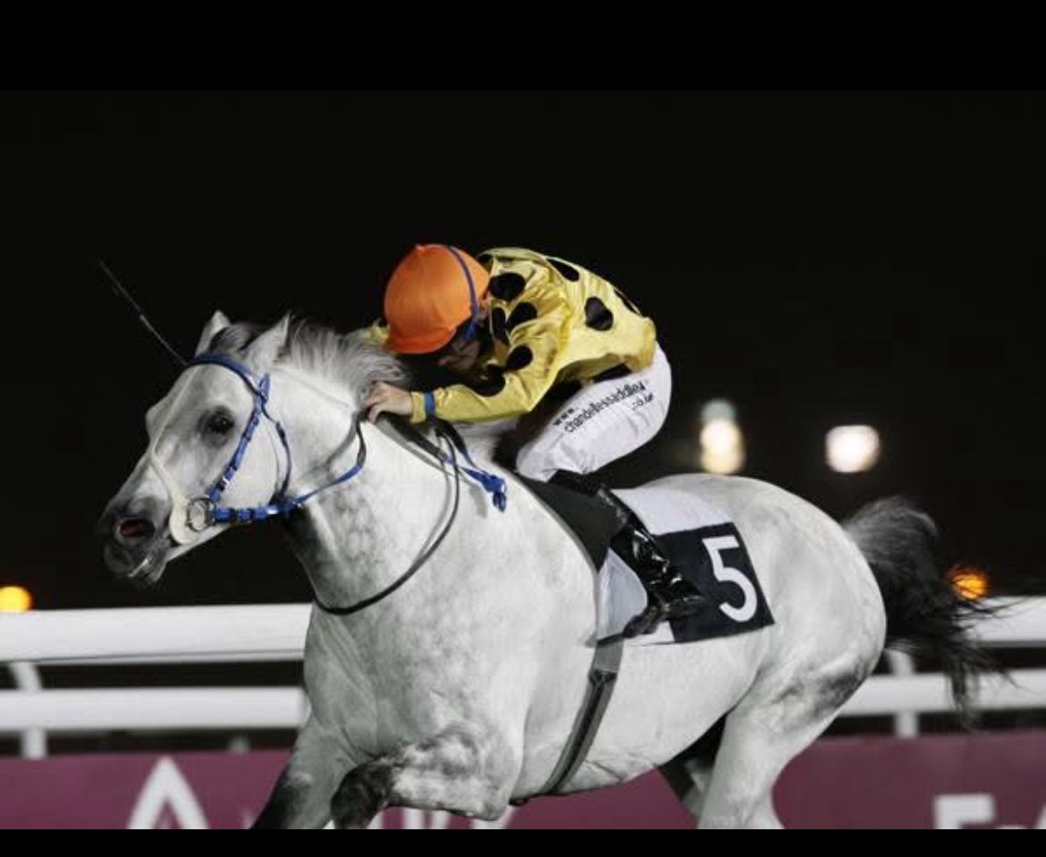 Winning form: Mark Lawson in action in Qatar. Photo supplied