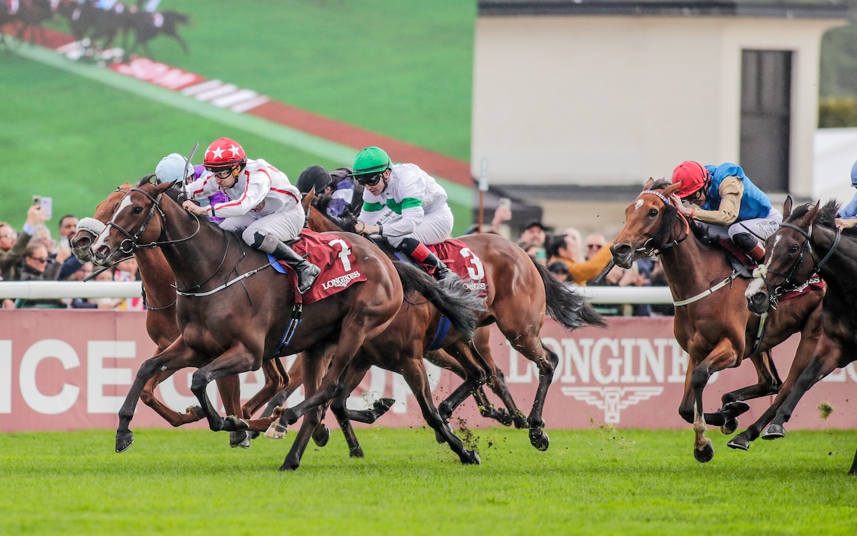 Prix de l’Opera winner Barnavara is a high-profile lot at the Sceptre Sessions. Photo: Liesl King / focusonracing.com