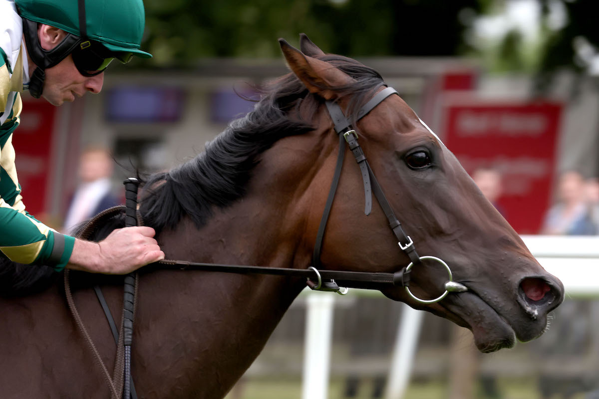 Headline act: Porta Fortuna in G1-winning action in the Falmouth Stakes at Newmarket. Photo: Dan Abraham / focusonracing.com
