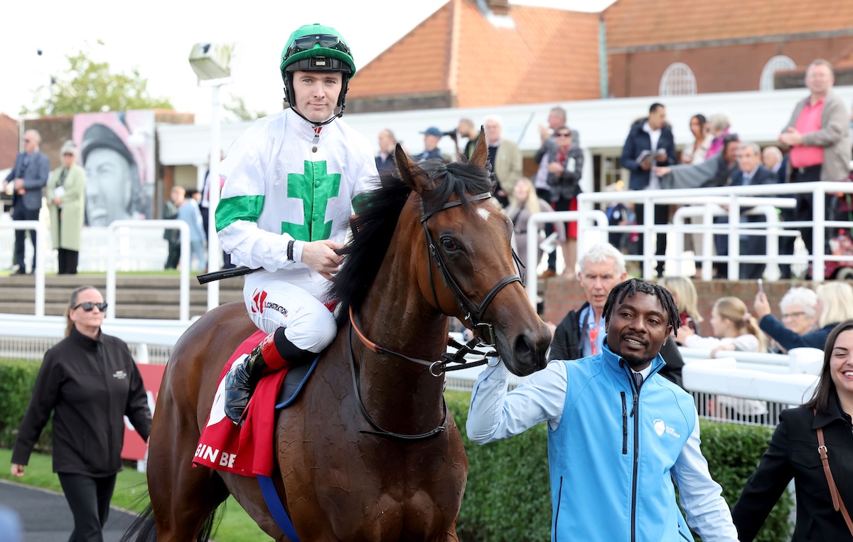 Sun Chariot Stakes winner Tamfana will be a major attraction at the Sceptre Sessions. Photo: Dan Abraham / focusonracing.com