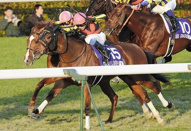 A race to remember: Gentildonna (near side) touches off Orfevre in the 2012 Japan Cup. Photo: netkeiba
