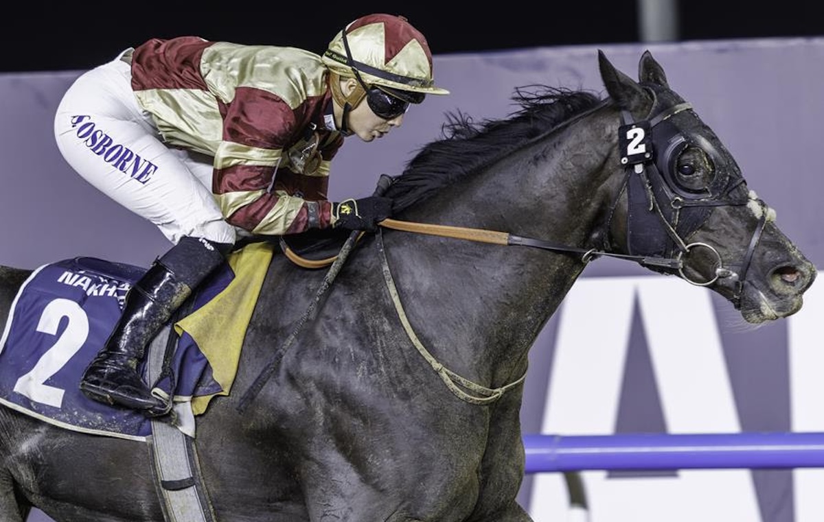 Heart Of Honor: Back in winning form at Meydan. Photo: Dubai Racing Club