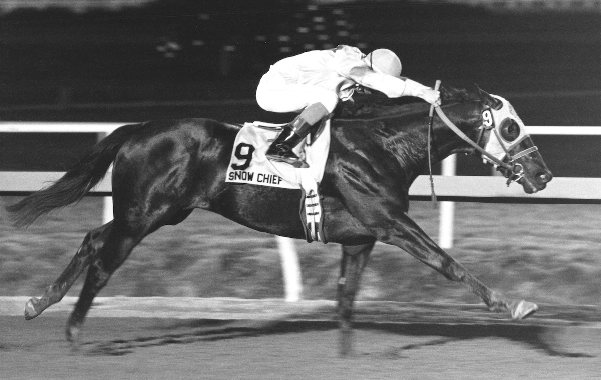 Snow Chief leaped to another level winning the million-dollar Hollywood Futurity by more than six lengths. Photo courtesy of Hollywood Park, provided by Edward Kip Hannan & Roberta Weiser