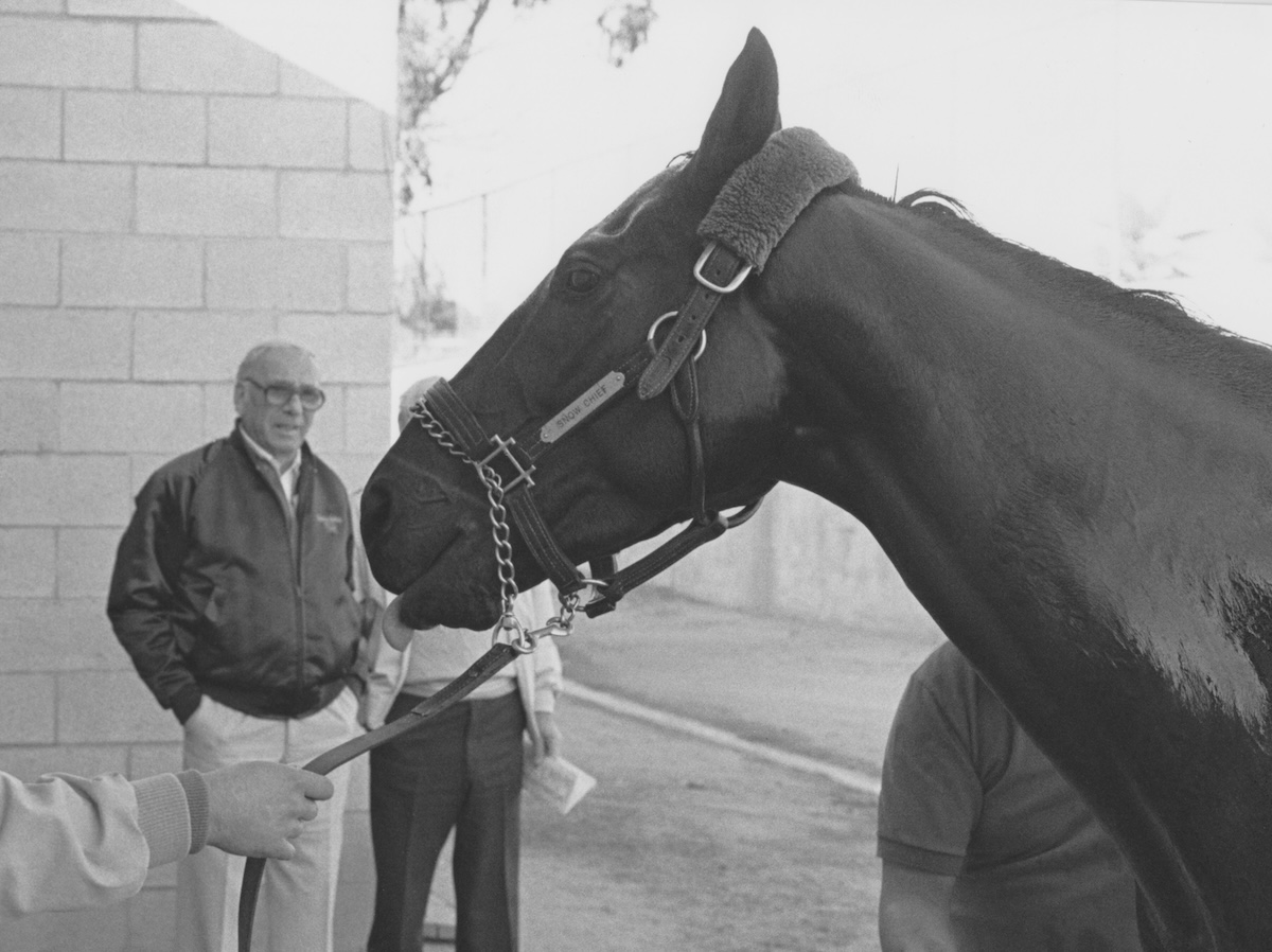 Co-owner Ben Rochelle admires his champion at the barn of trainer Mel Stute. Photo courtesy of Hollywood Park, provided by Edward Kip Hannan & Roberta Weiser