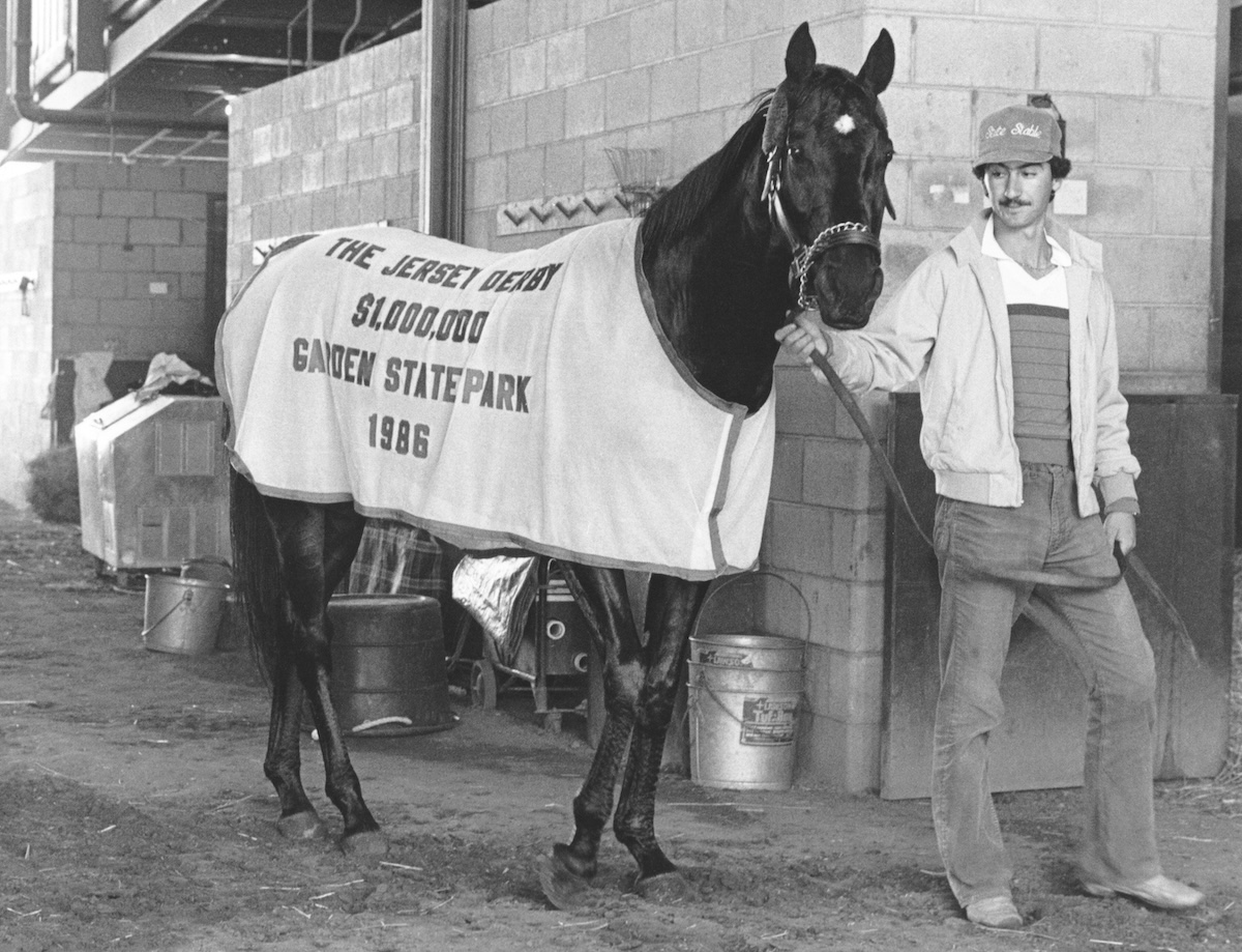 Wearing the spoils of his latest East Coast invasion, Snow Chief takes a turn at his Hollywood Park barn. Photo courtesy of Hollywood Park, provided by Edward Kip Hannan & Roberta Weiser