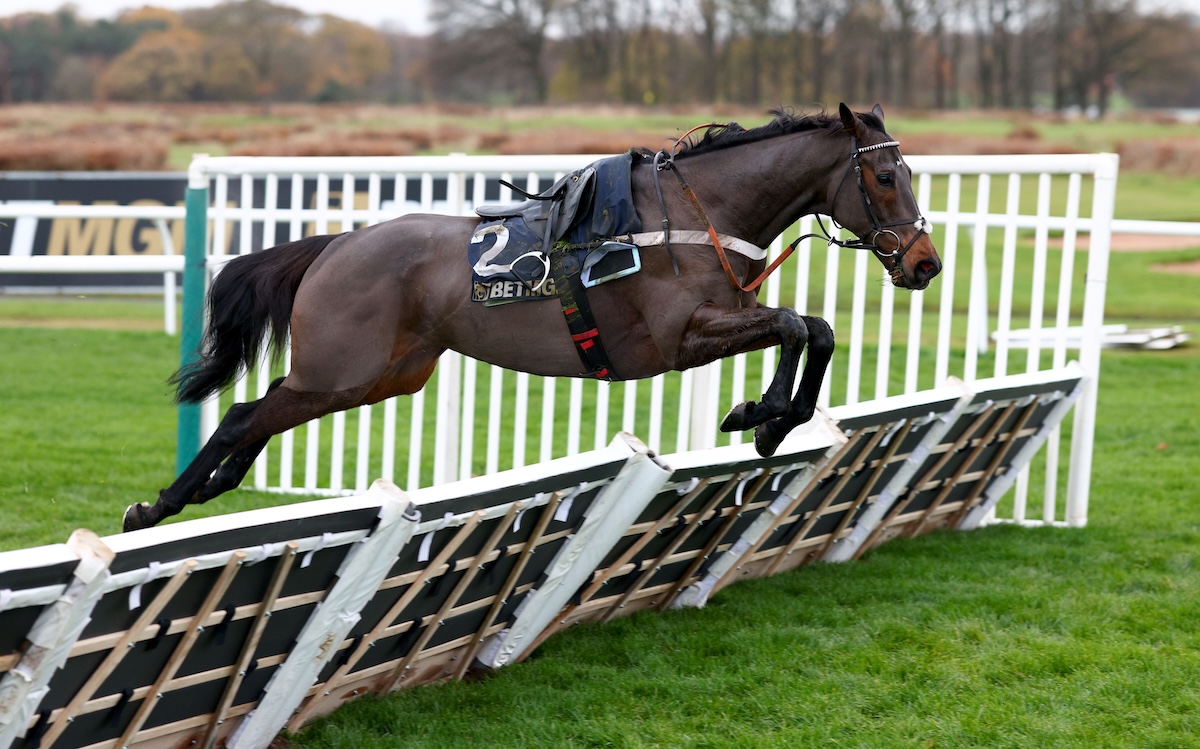 Fallen idol: A riderless Constitution Hill jumps the last after another mishap at Newcastle. Photo: Dan Abraham / focusonracing.com