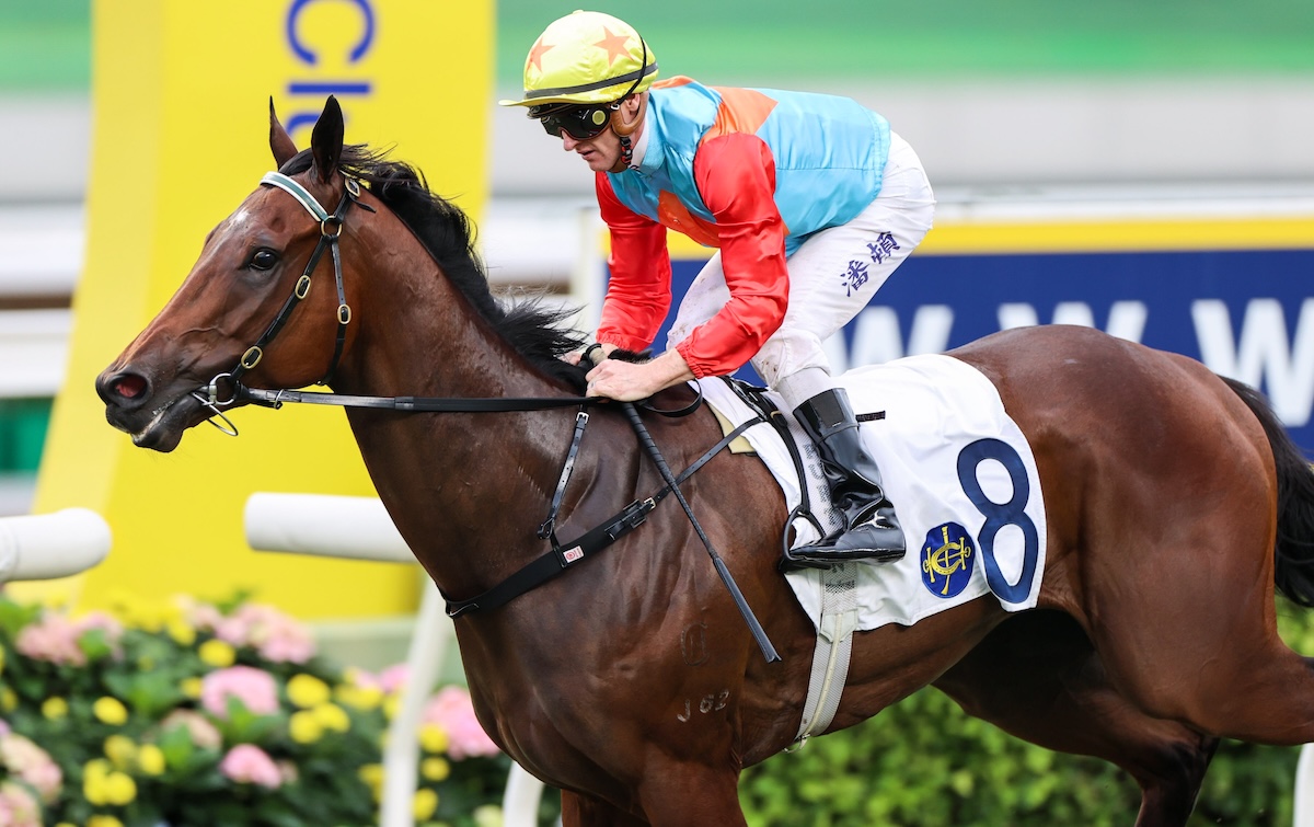 Ka Ying Rising: Looking to extend winning streak to 16. Photo: HKJC