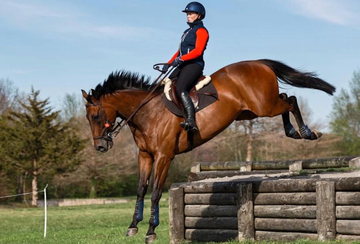 Old friend: Sophie Doyle jumping with Jaz N Tap, her first-ever US winner. Photo supplied