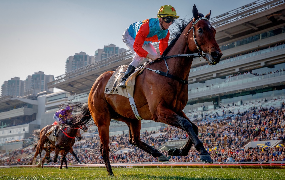 Ka Ying Rising: chasing 16th consecutive win in HK Sprint. Photo: HKJC