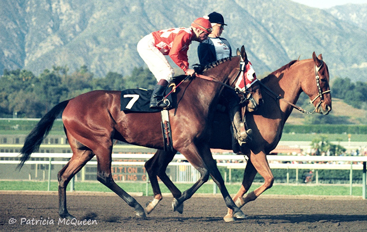 Fleet Secretariat: durable filly was a stakes winner at Canterbury Downs. Photo: Patricia McQueen