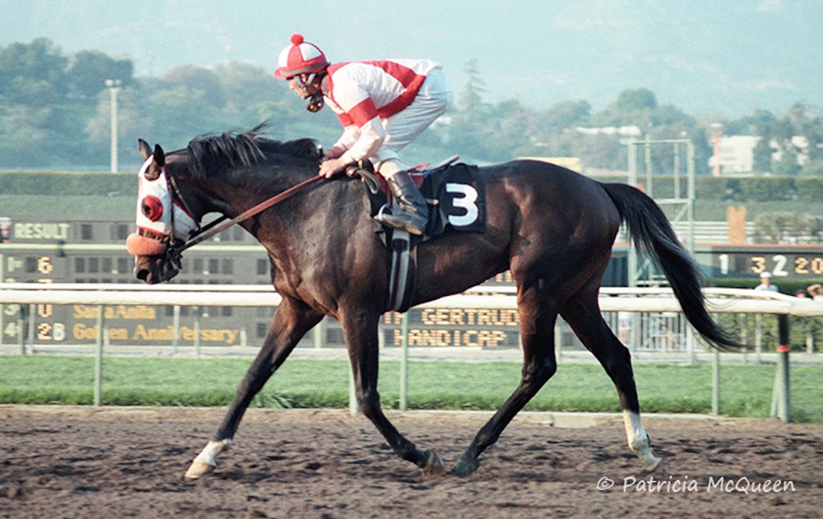 Swoon: flourished late in an injury-hit career. Photo: Patricia McQueen