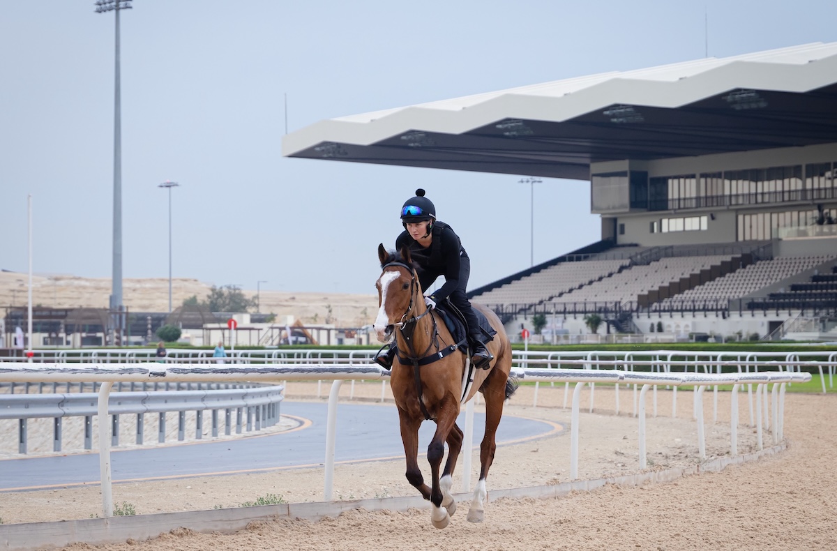 George Baker-trained Nesthorn exercises at the Rashid Equestrian and Horseracing Club in preparation for the Bahrain Turf Series. Photo: Bahrain Turf Club