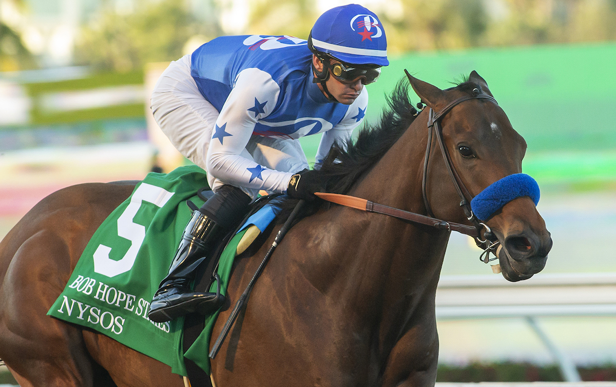 Nysos: Breeders’ Cup Dirt Mile winner set to run on Santa Anita opening-day card. Photo: Benoit