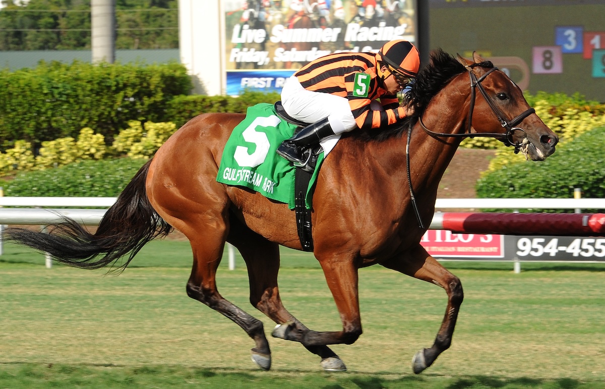In the last hurrah of a long and successful career, the seven-year-old Little Mike wins a minor stakes race at Gulfstream Park. (Leslie Martin photo)