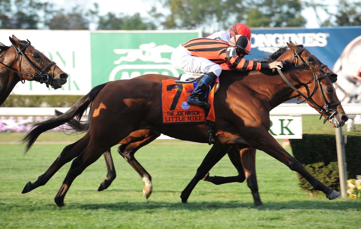 Proving he was still a force at age six, Little Mike claims the Joe Hirsch Turf Classic at Belmont Park. (Coglianese photo)