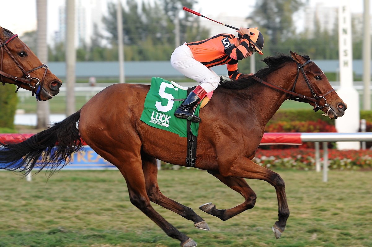 An upwardly mobile Little Mike offers a preview of things to come in the Florida Sunshine Millions. (Coglianese photo)