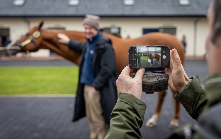The annual ITM Irish Stallion Trail allows the public to get up close and personal with the nation’s renowned stallion roster. Photo: Morgan Treacy