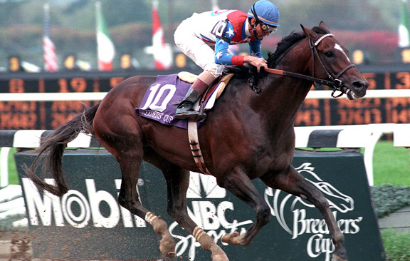 Cigar: Legendary 16-race winning streak. Photo: Breeders’ Cup