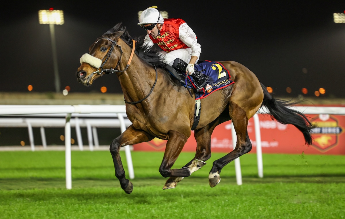 Hi Royal (Neil Callan) is a convincing winner of the Al Dana Cup in Round 2 of the Bahrain Turf Series. Photo: Bahrain Turf Club