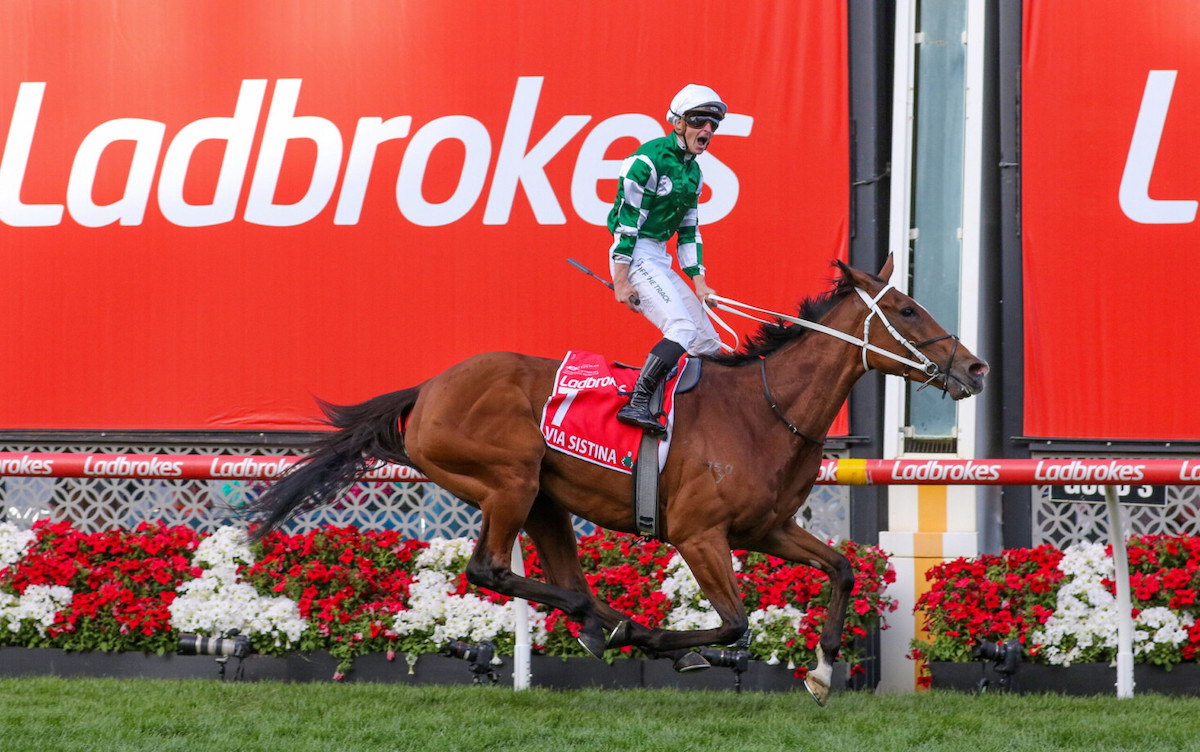 Total dominance: James McDonald stands up in the irons as Via Sistina completes an eight-length annihilation in the 2024 Cox Plate. Photo: Bruno Cannatelli / NZ Racing Desk