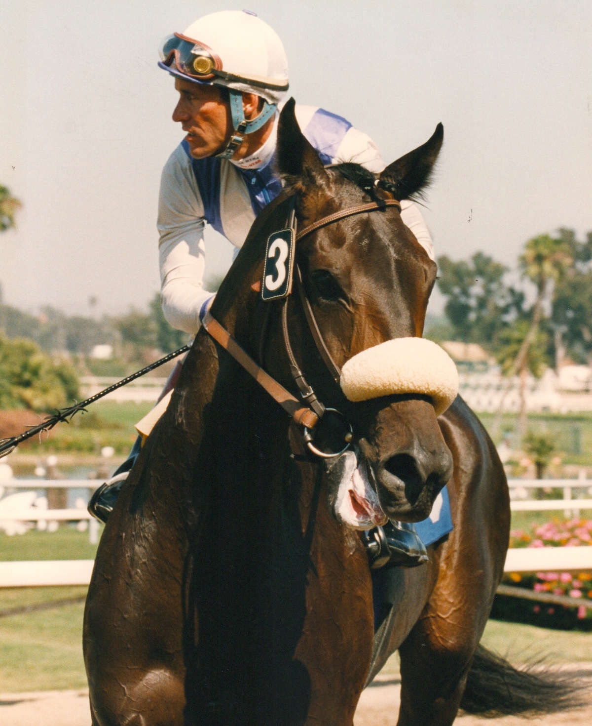 Manistique was a king-sized queen from all angles. (Benoit photo, courtesy Hollywood Park)