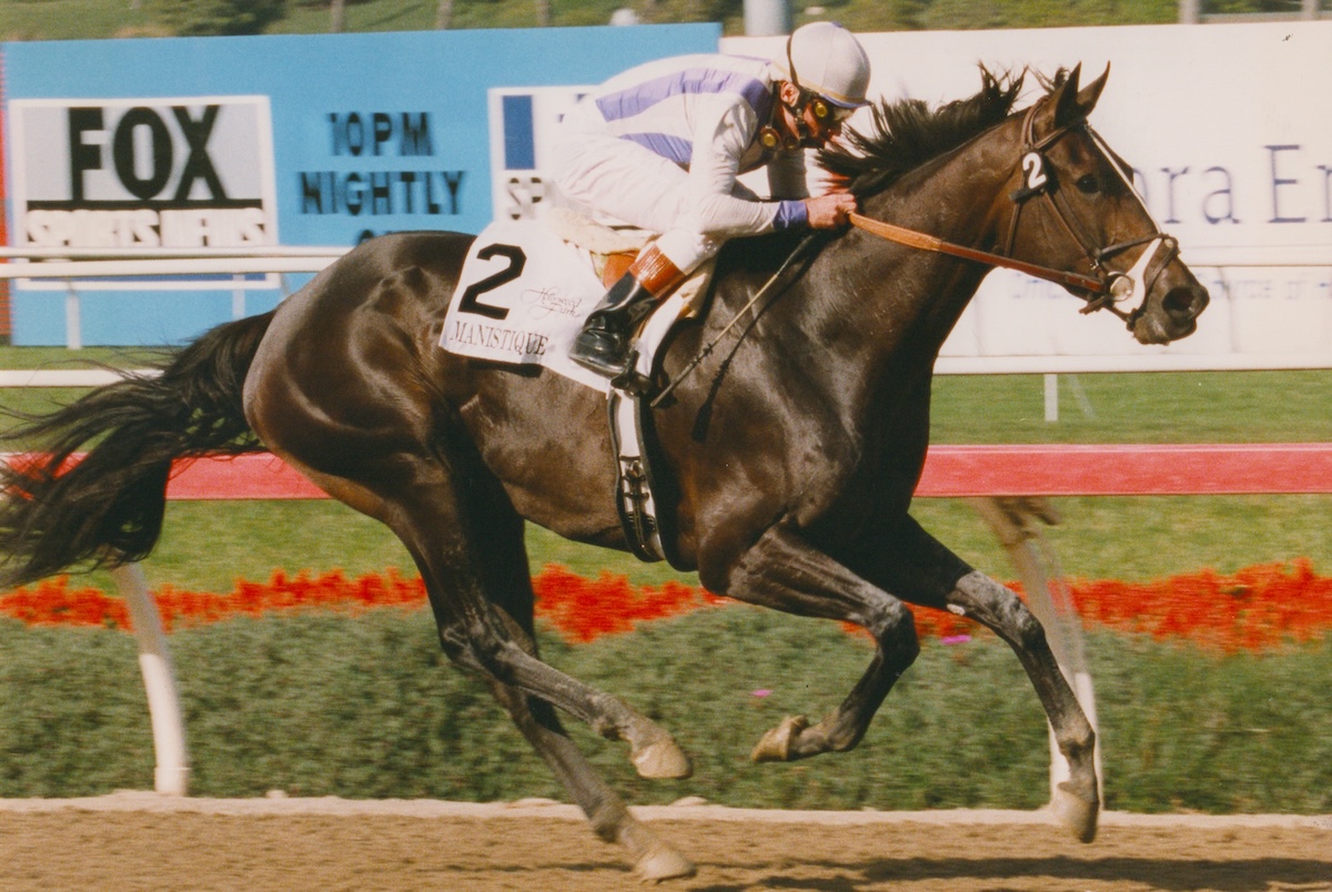 Manistique never missed a beat when Chris McCarron took over for the 1999 Vanity Handicap. (Benoit photo, courtesy Hollywood Park)