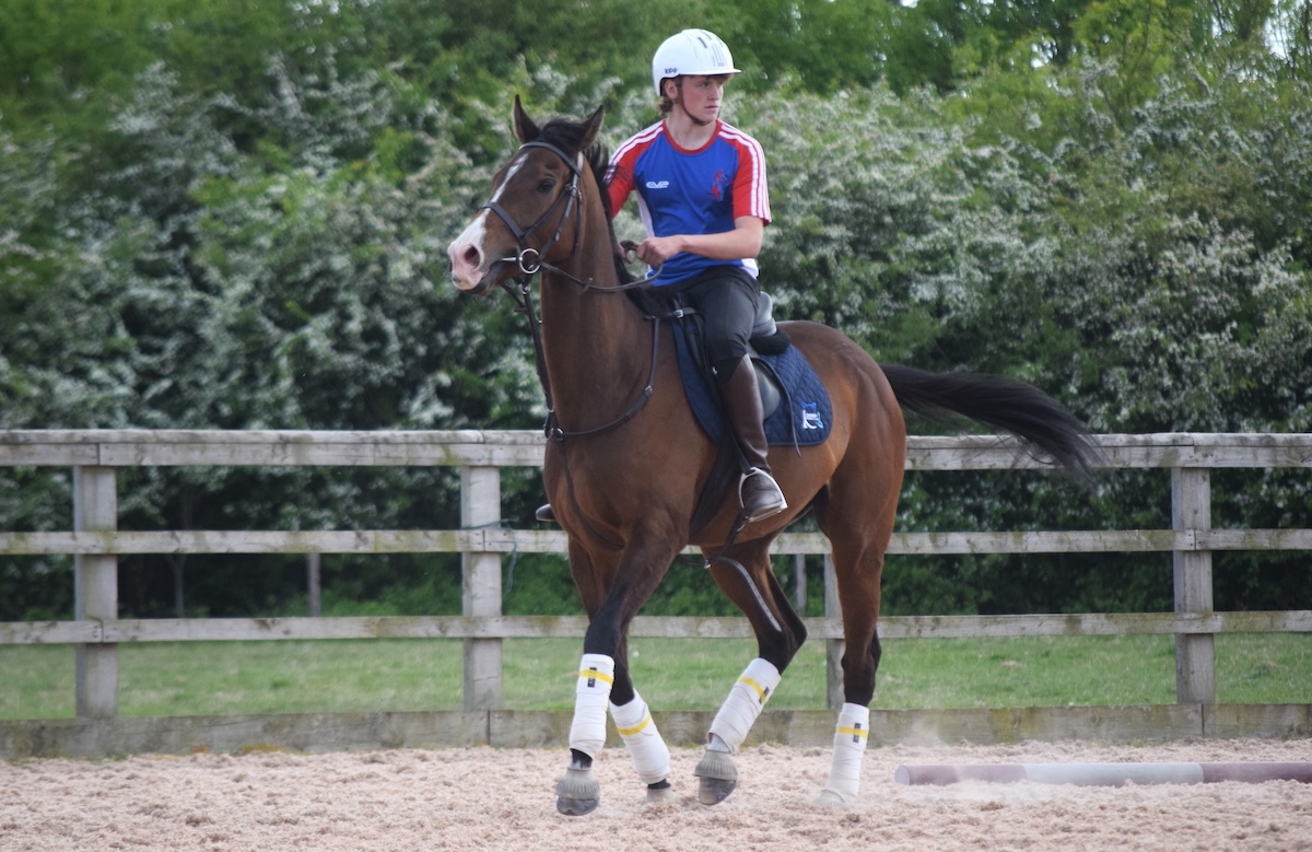 Call me Joey: former racehorse Sir Joseph Swan is thriving in his new role with rider Ryan Hagger. Photo supplied by Lancing Equestrian