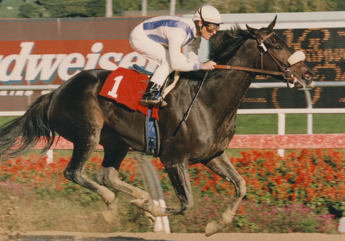 Stevens grew accustomed to the winning pose atop Manistique in races like the 1998 Bayakoa Handicap. (Benoit photo, courtesy Hollywood Park)