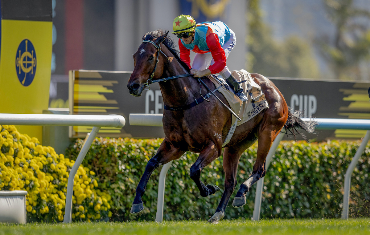 Cruise control: Ka Ying Rising wins eased down by Zac Purton. Photo: HKJC
