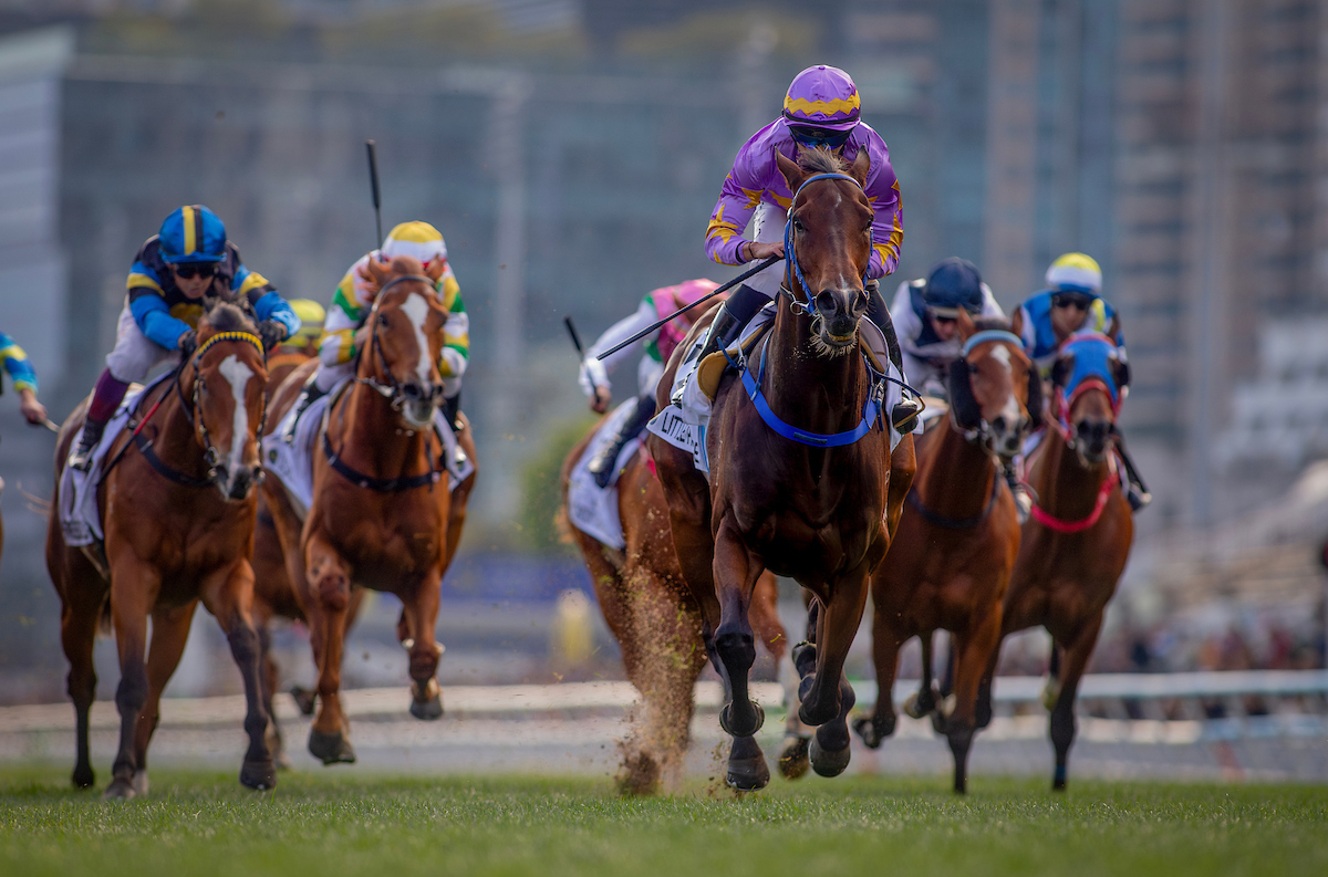 Little Paradise (purple and orange silks) on the way to victory in Sunday's Classic Mile. Photo: HKJC