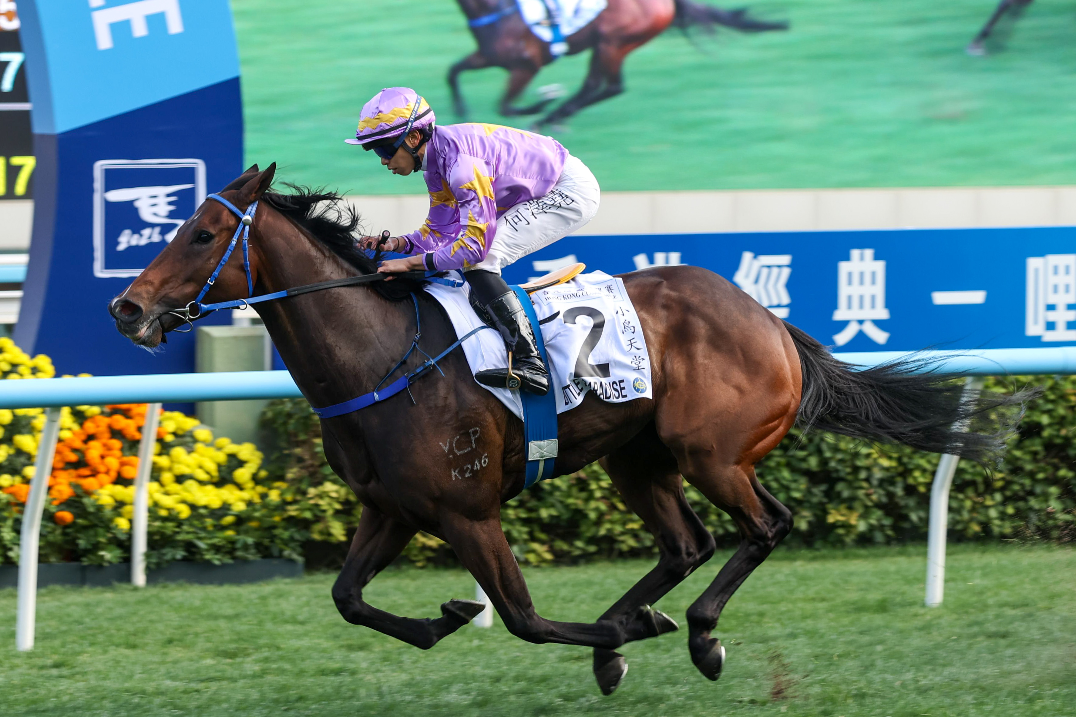 Vincent Ho passes the post in front on Little Paradise, a horse some think can climb to Hong Kong superstar status. Photo: HKJC