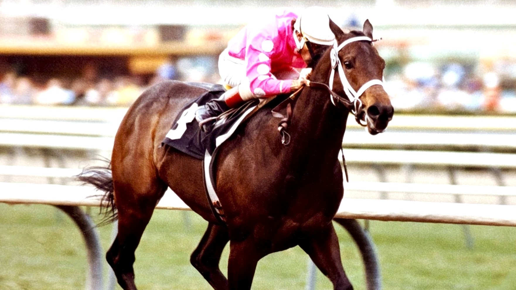 In his first try on dirt, In Excess runs a blinder in the San Fernando Stakes at Santa Anita. Photo: courtesy of Santa Anita Park, provided by Edward Kip Hannan & Roberta Weiser