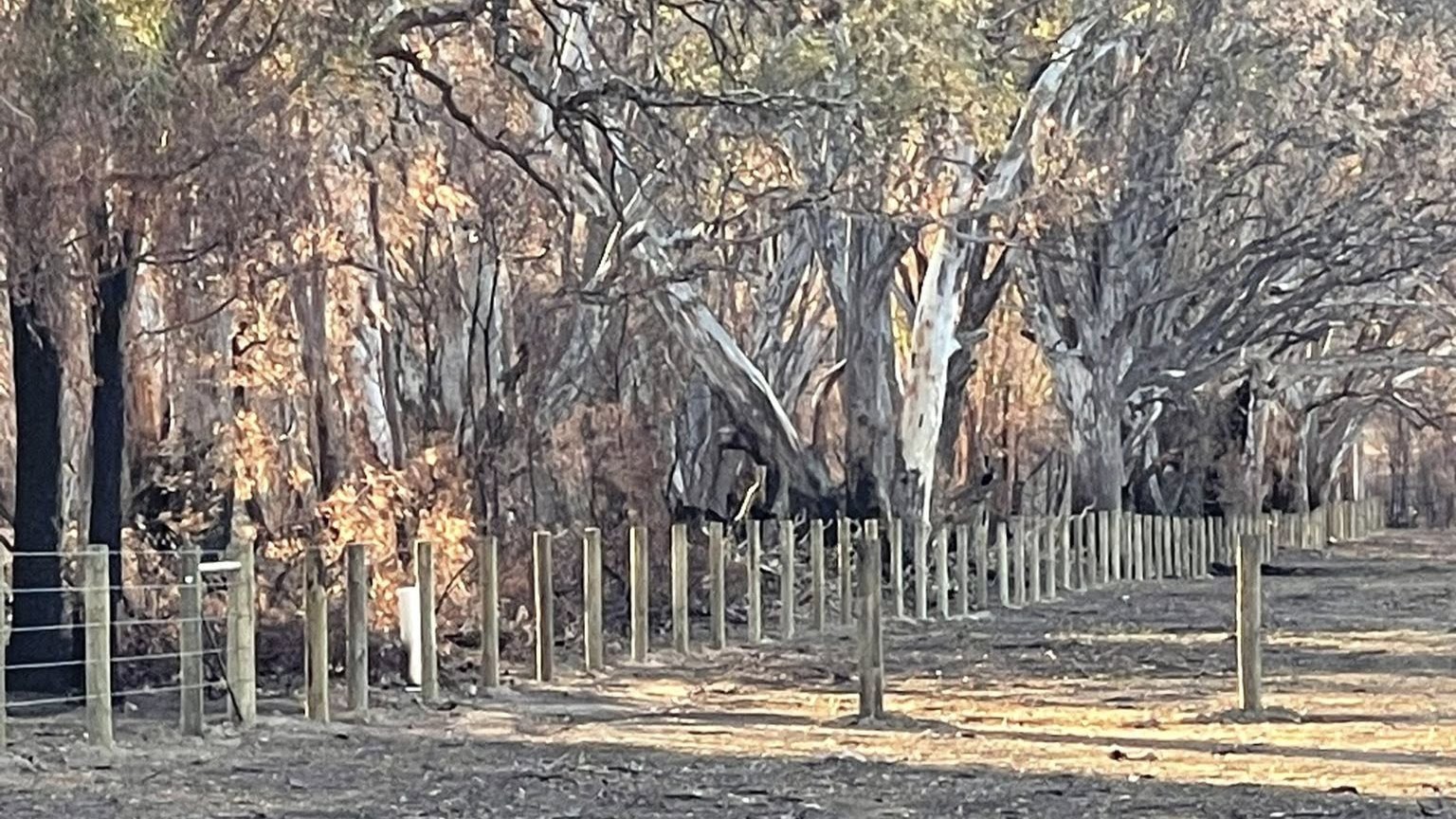 The scene at Larneuk Stud earlier this month, where repair work is ongoing. Photo: from Larneuk Stud Facebook