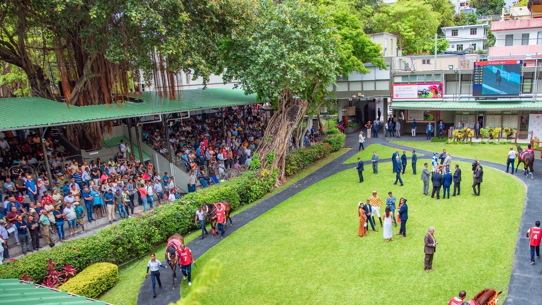 The paddock at Champ de Mars. Photo: MTCJC