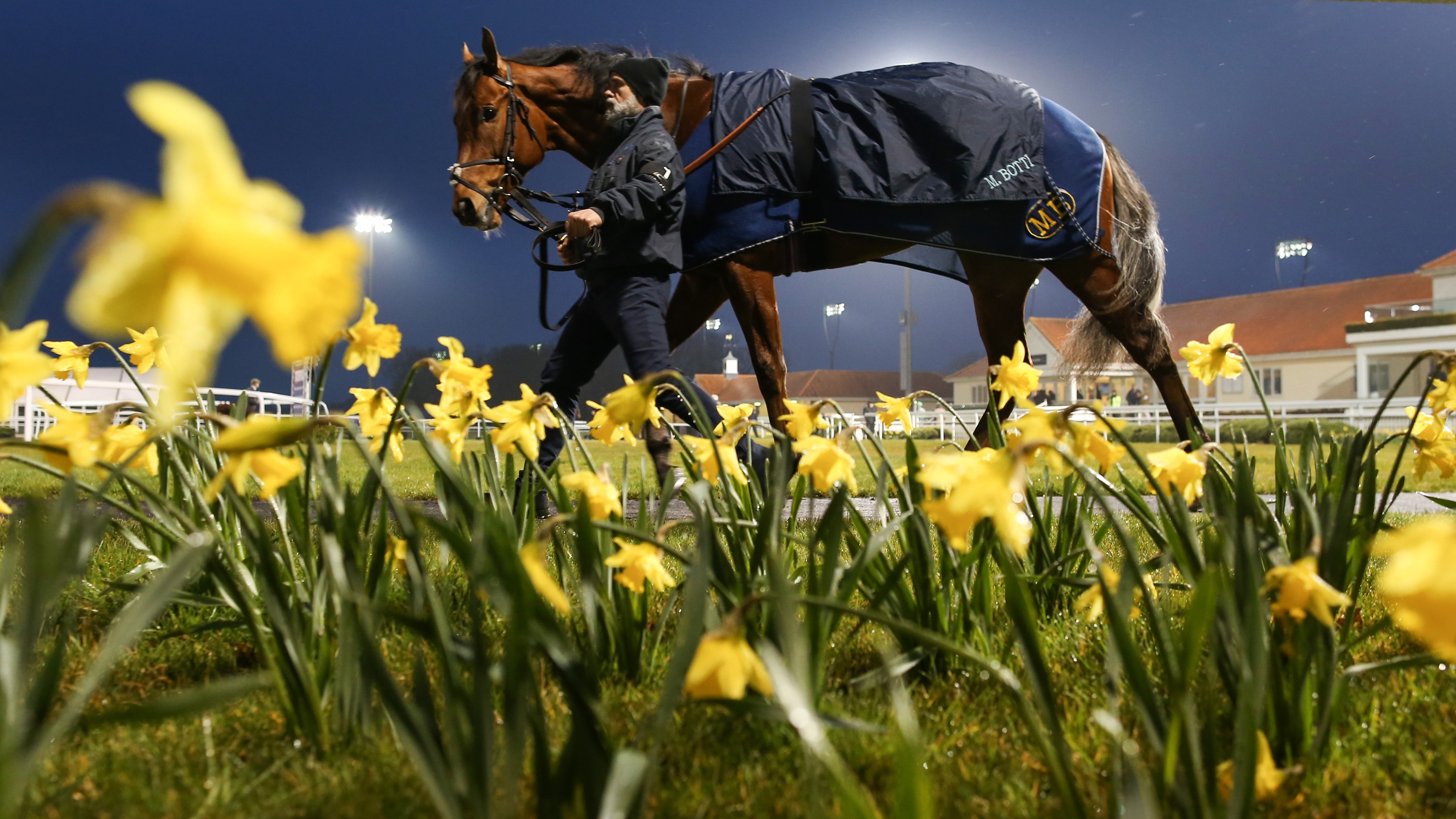 Chelmsford wrote an open letter to owners and trainers that said cancellation of racing at its Easter Festival was despite its ‘strongest objections’. Photo: Megan Ridgwell/focusonracing.com
