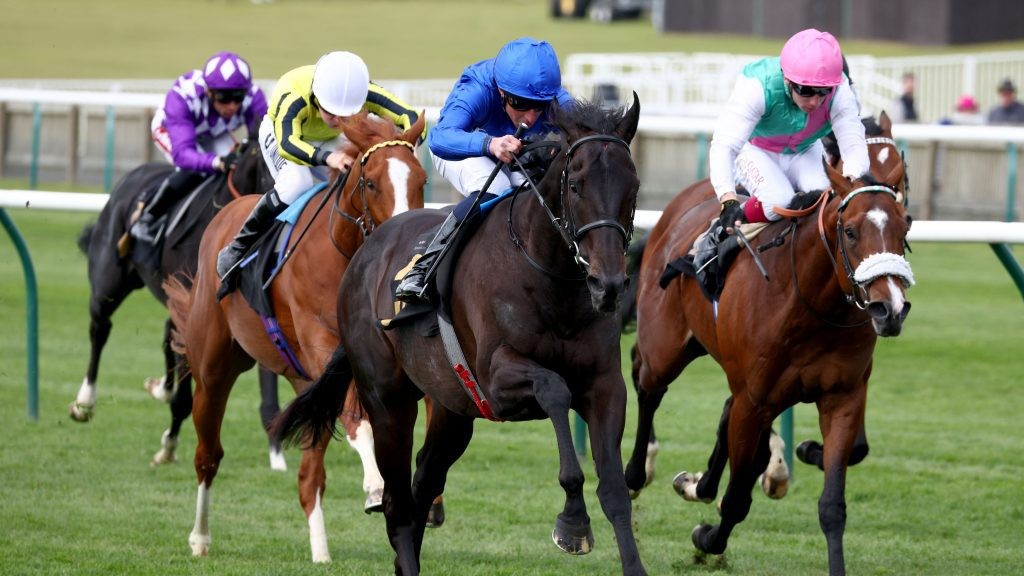 Cerro Blanco and William Buick (Godolphin blue) winning the Alex Scott Maiden Stakes. Photo: Dan Abraham/focusonracing.com