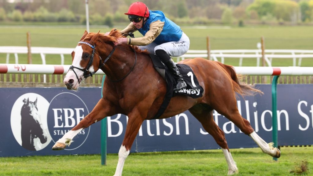 Damysus and James Doyle winning the Earl of Sefton Stakes. Photo: Dan Abraham/focusonracing.com