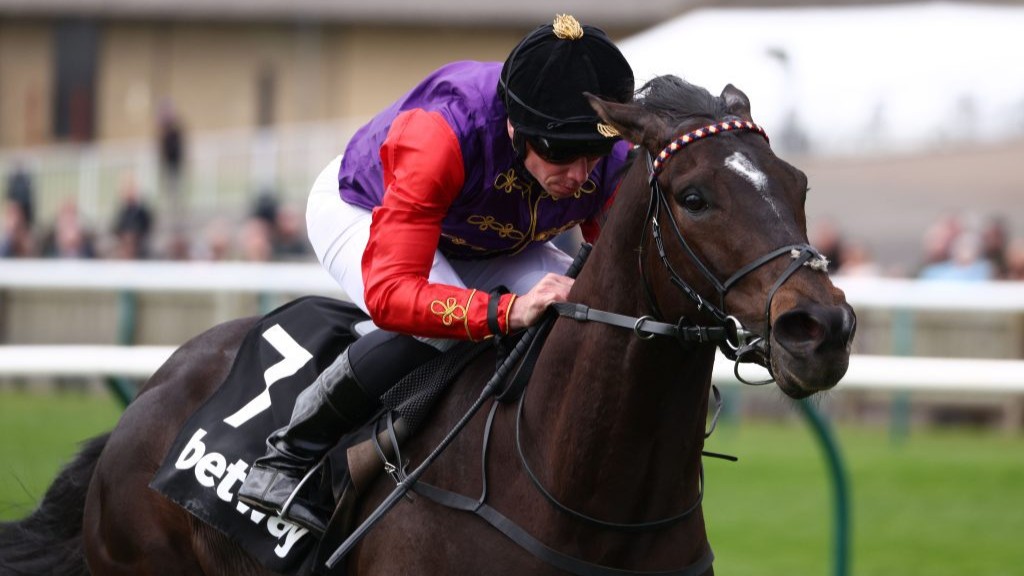 Portcullis and Ryan Moore winning the Wood Ditton Maiden Stakes. Photo: Dan Abraham/focusonracing.com